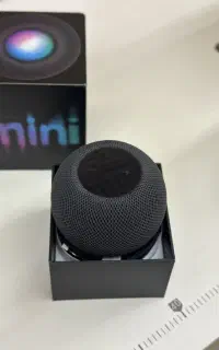 Apple home pod mini