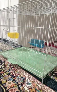 قفس پرنده