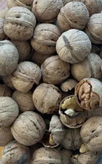 گردو درجه یکه لوکس