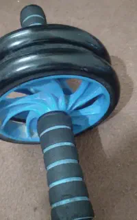 رول شکم