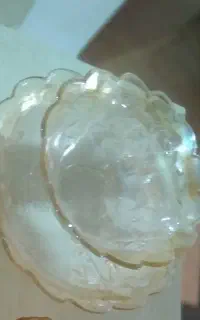 میوه و شیرینی خوری سوگا ژاپن نو