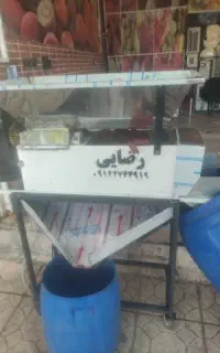 انگور دیم کردستان