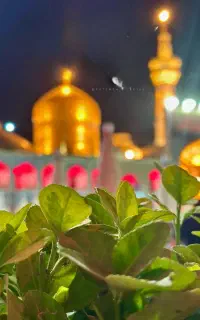 تور زیارتی مشهدالرضا ع