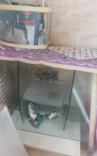 میز شیشه ای ۱۰ میل ۴۰ در۸۰ در ۶۵  ۱۰۰۰۰۰۰ تومان