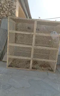 فروش قفس