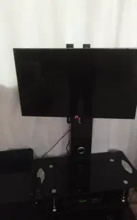 تلوزیون