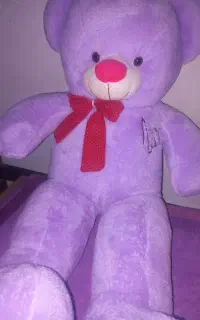 خرس بنفش