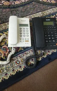 دو عدد تلفن منزل