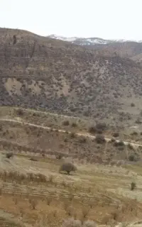 کارگر جهت کار کشاورزی