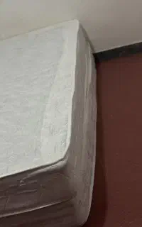 دو عدد تشک طبی فنری