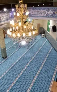 سجاده و فرش ماشینی نوش اباد کاشان