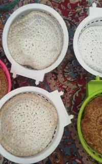 لانه پرنده