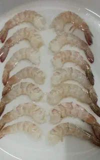 میگو جنوب تازه