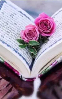 وفال‌تاروت