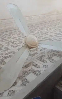 پنکه سقفی