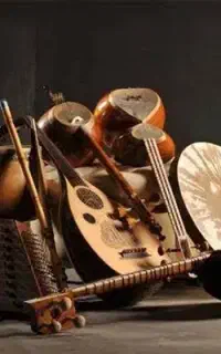 اموزش موسیقی(تار و سه تار)