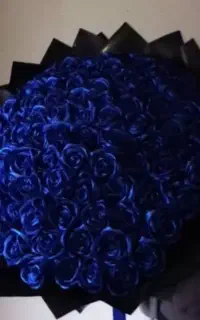 گل عروس عقد بله برون