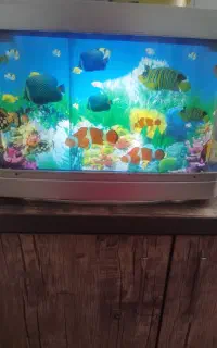 چراغ خواب طرح آکواریوم