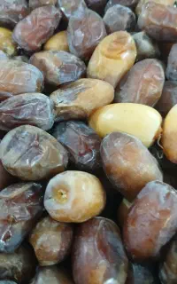 فروش رطب کبکاب