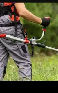 کارگر هستم.علفزن زیر درختان میوه. .حاشیه  علف هرز
