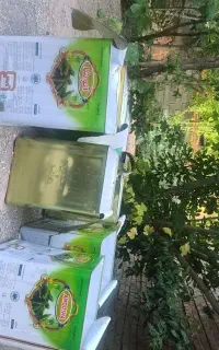 حلب خیار شور