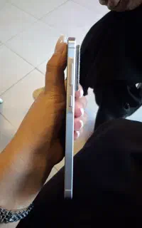 سامسونگa56 5g ram12 256