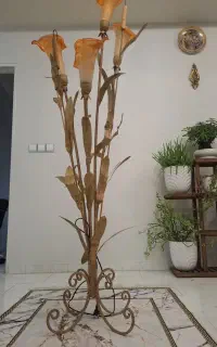 آباژور سالم و زیبا