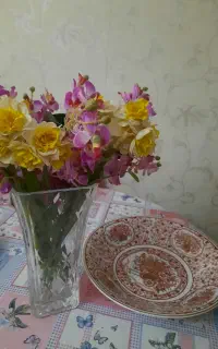 ظرف میوه