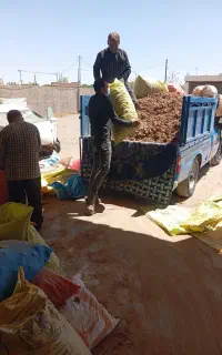 پیاز زعفران قاینات قیمت مناسب