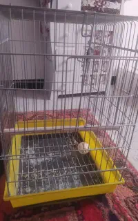 قفس بزرگ پرنده