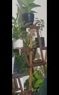 استند چوبی گل