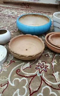 گلدان نو