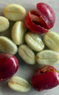 آموزش مهارت های باریستایی و بارتندری