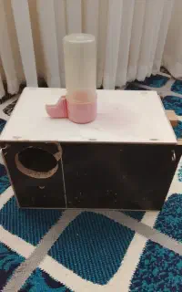 لانه عروس هلندی