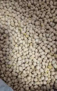 نخود محلی درجه یک اعلاء