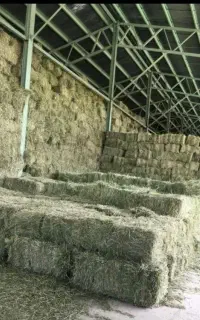 خرید پرس یونجه