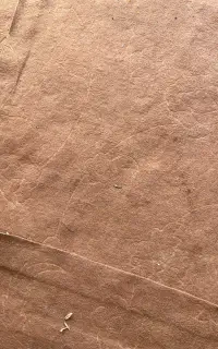 موکت