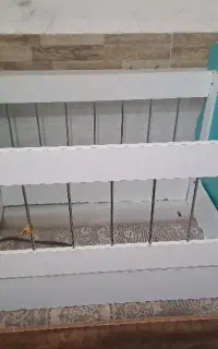 تخت کودک