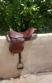 زین اسب