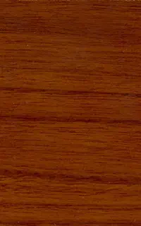 نیاز به منشی و اتوکد کار