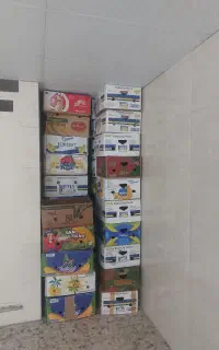 کارتن اسباب کشی موزی