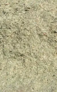 علف همه گیاه گزره