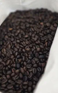 پخش عمده دان قهوه به صورت کیلویی وتناژی