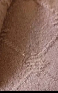 موکت درحدنو