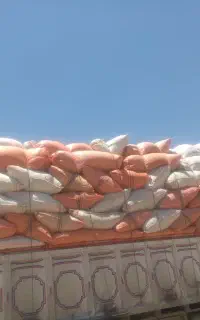 کاه