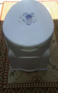 توالت فرنگی