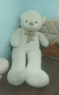 خرسی بزرگ