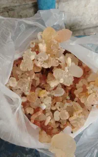 زودو