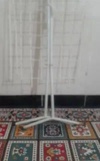 بندرخت