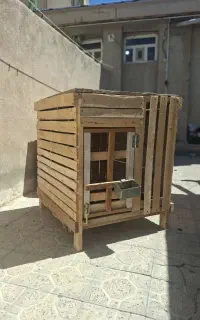 قفس مرغ و خروس و لاری